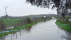 La crecida del río Alagón en Coria obliga a cortar el camino de El Rincón del Obispo