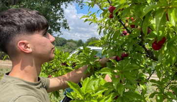 Moraleja impartirá un curso de conservas vegetales artesanas con frutas y verduras