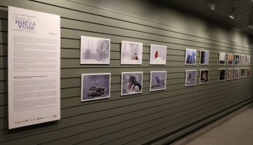 Una exposición del extremeño Héctor Cordero llega al Museo Nacional de Ciencias Naturales de Madrid