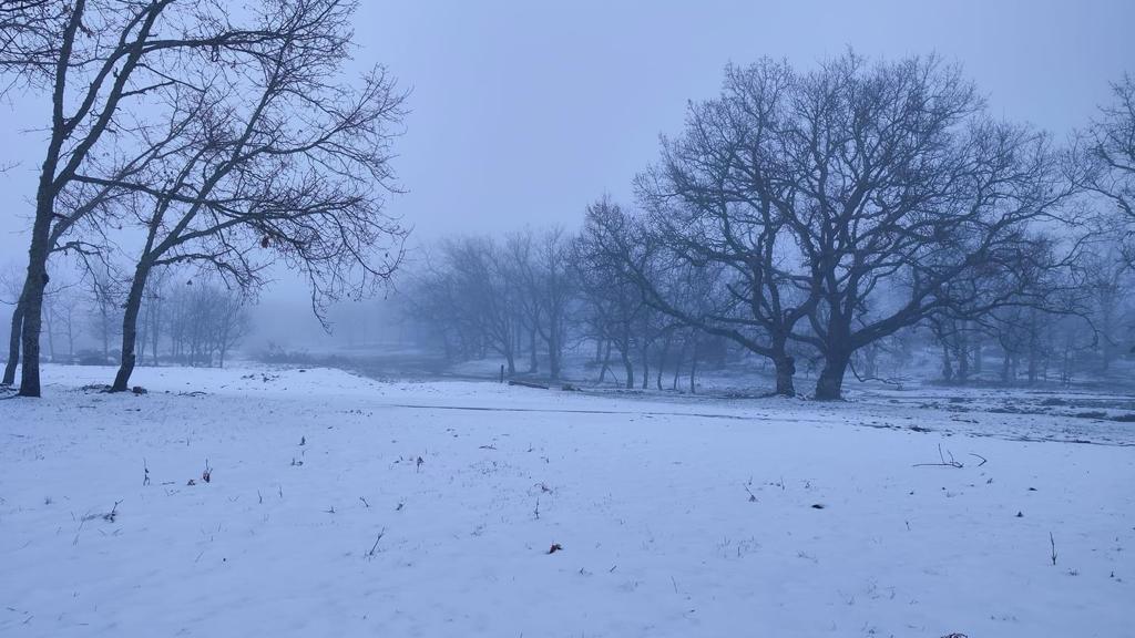 La nieve ha cubierto buena parte de la zona norte de Extremadura en sus cotas más elevadas.